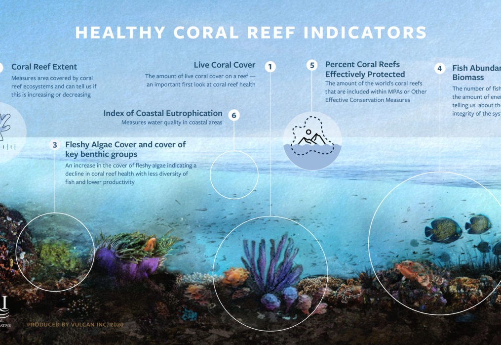 Global Pacific Trust Bank Launches Coral Reef Conservation Bond